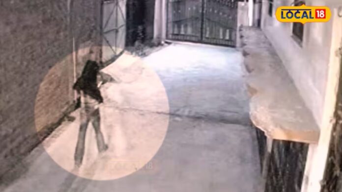 ਮੱਛਰ ਭੱਜ ਜਾਣਗੇ ਦੂਰ, ਜਦੋ ਆਵੇਗੀ ਇਹ ਖੁਸ਼ਬੂ... ਅੱਜ ਹੀ ਬਾਲਕੋਨੀ 'ਚ ਲਗਾਓ ਇਹ 6 ਪੌਦੇ