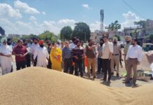 ਡਿਪਟੀ ਕਮਿਸ਼ਨਰ ਵੱਲੋਂ ਰੂਪਨਗਰ ਅਨਾਜ ਮੰਡੀ ਦਾ ਅਚਨਚੇਤ ਦੌਰਾ ਡਿਪਟੀ ਕਮਿਸ਼ਨਰ ਵੱਲੋਂ ਰੂਪਨਗਰ ਅਨਾਜ ਮੰਡੀ ਦਾ ਅਚਨਚੇਤ ਦੌਰਾ