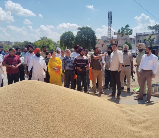 ਡਿਪਟੀ ਕਮਿਸ਼ਨਰ ਵੱਲੋਂ ਰੂਪਨਗਰ ਅਨਾਜ ਮੰਡੀ ਦਾ ਅਚਨਚੇਤ ਦੌਰਾ ਡਿਪਟੀ ਕਮਿਸ਼ਨਰ ਵੱਲੋਂ ਰੂਪਨਗਰ ਅਨਾਜ ਮੰਡੀ ਦਾ ਅਚਨਚੇਤ ਦੌਰਾ
