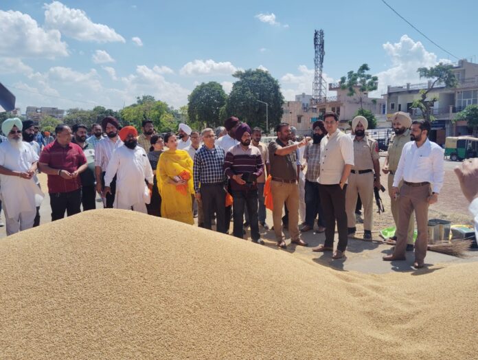 ਡਿਪਟੀ ਕਮਿਸ਼ਨਰ ਵੱਲੋਂ ਰੂਪਨਗਰ ਅਨਾਜ ਮੰਡੀ ਦਾ ਅਚਨਚੇਤ ਦੌਰਾ