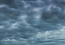 Punjab Weather: ਪੰਜਾਬ ਵਿਚ ਤੇਜ਼ ਹਵਾਵਾਂ ਨਾਲ ਭਾਰੀ ਮੀਂਹ, ਇਨ੍ਹਾਂ ਜ਼ਿਲ੍ਹਿਆਂ ਲਈ ਅਲਰਟ… | ਪੰਜਾਬ ਖ਼ਬਰਾਂ Punjab Weather: ਪੰਜਾਬ ਵਿਚ ਤੇਜ਼ ਹਵਾਵਾਂ ਨਾਲ ਭਾਰੀ ਮੀਂਹ, ਇਨ੍ਹਾਂ ਜ਼ਿਲ੍ਹਿਆਂ ਲਈ ਅਲਰਟ... | ਪੰਜਾਬ ਖ਼ਬਰਾਂ