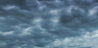 Punjab Weather: ਪੰਜਾਬ ਵਿਚ ਤੇਜ਼ ਹਵਾਵਾਂ ਨਾਲ ਭਾਰੀ ਮੀਂਹ, ਇਨ੍ਹਾਂ ਜ਼ਿਲ੍ਹਿਆਂ ਲਈ ਅਲਰਟ… | ਪੰਜਾਬ ਖ਼ਬਰਾਂ Punjab Weather: ਪੰਜਾਬ ਵਿਚ ਤੇਜ਼ ਹਵਾਵਾਂ ਨਾਲ ਭਾਰੀ ਮੀਂਹ, ਇਨ੍ਹਾਂ ਜ਼ਿਲ੍ਹਿਆਂ ਲਈ ਅਲਰਟ... | ਪੰਜਾਬ ਖ਼ਬਰਾਂ