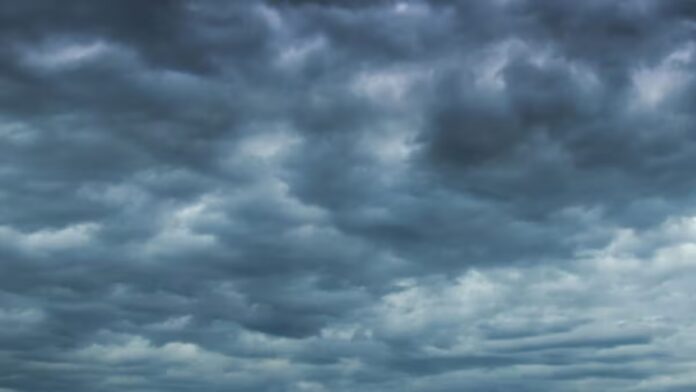 Punjab Weather: ਪੰਜਾਬ ਵਿਚ ਤੇਜ਼ ਹਵਾਵਾਂ ਨਾਲ ਭਾਰੀ ਮੀਂਹ, ਇਨ੍ਹਾਂ ਜ਼ਿਲ੍ਹਿਆਂ ਲਈ ਅਲਰਟ... | ਪੰਜਾਬ ਖ਼ਬਰਾਂ