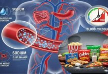 ਉੱਪਰ ਤੋਂ ਨਮਕ ਨਹੀਂ ਖਾਂਦੇ, ਪਰ ਹਾਈ ਰਹਿੰਦਾ ਹੈ BP? ਤੁਹਾਡੀ ਰਸੋਈ ਵਿੱਚ ਇਹ 5 ਚੀਜ਼ਾਂ ਹਨ ‘ਅਸਲੀ ਖਲਨਾਇਕ’, ਅੱਜ ਹੀ ਕਰੋ ਤੋਬਾ, Don’t eat salt from above, but BP remains high? These 5 things in your kitchen are ‘real villains’, repent today | ਪੰਜਾਬ ਖ਼ਬਰਾਂ ਉੱਪਰ ਤੋਂ ਨਮਕ ਨਹੀਂ ਖਾਂਦੇ, ਪਰ ਹਾਈ ਰਹਿੰਦਾ ਹੈ BP? ਤੁਹਾਡੀ ਰਸੋਈ ਵਿੱਚ ਇਹ 5 ਚੀਜ਼ਾਂ ਹਨ 'ਅਸਲੀ ਖਲਨਾਇਕ', ਅੱਜ ਹੀ ਕਰੋ ਤੋਬਾ, Don't eat salt from above, but BP remains high? These 5 things in your kitchen are 'real villains', repent today | ਪੰਜਾਬ ਖ਼ਬਰਾਂ