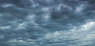 Punjab Weather: ਪੰਜਾਬ ‘ਚ ਇਕਦਮ ਬਦਲਿਆ ਮੌਸਮ, ਇਨ੍ਹਾਂ ਜ਼ਿਲ੍ਹਿਆਂ ਵਿਚ ਭਾਰੀ ਮੀਂਹ, ਗੜ੍ਹੇਮਾਰੀ… | ਪੰਜਾਬ ਖ਼ਬਰਾਂ Punjab Weather: ਪੰਜਾਬ 'ਚ ਇਕਦਮ ਬਦਲਿਆ ਮੌਸਮ, ਇਨ੍ਹਾਂ ਜ਼ਿਲ੍ਹਿਆਂ ਵਿਚ ਭਾਰੀ ਮੀਂਹ, ਗੜ੍ਹੇਮਾਰੀ... | ਪੰਜਾਬ ਖ਼ਬਰਾਂ