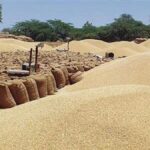 ਕਿਸਾਨਾਂ ਲਈ ਵੱਡੀ ਖ਼ਬਰ: ਕੇਂਦਰ ਸਰਕਾਰ ਨੇ ਕਣਕ ਖਰੀਦ ਨਿਯਮਾਂ ਵਿੱਚ ਢਿੱਲ ਦੇਣ ਨੂੰ ਦਿੱਤੀ ਮਨਜ਼ੂਰੀ | ਪੰਜਾਬ ਖ਼ਬਰਾਂ ਕਿਸਾਨਾਂ ਲਈ ਵੱਡੀ ਖ਼ਬਰ: ਕੇਂਦਰ ਸਰਕਾਰ ਨੇ ਕਣਕ ਖਰੀਦ ਨਿਯਮਾਂ ਵਿੱਚ ਢਿੱਲ ਦੇਣ ਨੂੰ ਦਿੱਤੀ ਮਨਜ਼ੂਰੀ | ਪੰਜਾਬ ਖ਼ਬਰਾਂ