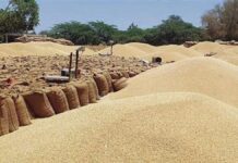 ਕਿਸਾਨਾਂ ਲਈ ਵੱਡੀ ਖ਼ਬਰ: ਕੇਂਦਰ ਸਰਕਾਰ ਨੇ ਕਣਕ ਖਰੀਦ ਨਿਯਮਾਂ ਵਿੱਚ ਢਿੱਲ ਦੇਣ ਨੂੰ ਦਿੱਤੀ ਮਨਜ਼ੂਰੀ | ਪੰਜਾਬ ਖ਼ਬਰਾਂ ਕਿਸਾਨਾਂ ਲਈ ਵੱਡੀ ਖ਼ਬਰ: ਕੇਂਦਰ ਸਰਕਾਰ ਨੇ ਕਣਕ ਖਰੀਦ ਨਿਯਮਾਂ ਵਿੱਚ ਢਿੱਲ ਦੇਣ ਨੂੰ ਦਿੱਤੀ ਮਨਜ਼ੂਰੀ | ਪੰਜਾਬ ਖ਼ਬਰਾਂ