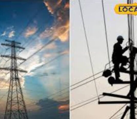 Power Cut in Punjab: ਪੰਜਾਬ ਵਿੱਚ 5 ਦਿਨਾਂ ਲਈ ਲੱਗਣਗੇ 8-10 ਘੰਟੇ ਦੇ ਬਿਜਲੀ ਕੱਟ, ਵੇਖੋ ਪੂਰਾ ਸ਼ਡਿਊਲ | ਪੰਜਾਬ ਖ਼ਬਰਾਂ Power Cut in Punjab: ਪੰਜਾਬ ਵਿੱਚ 5 ਦਿਨਾਂ ਲਈ ਲੱਗਣਗੇ 8-10 ਘੰਟੇ ਦੇ ਬਿਜਲੀ ਕੱਟ, ਵੇਖੋ ਪੂਰਾ ਸ਼ਡਿਊਲ | ਪੰਜਾਬ ਖ਼ਬਰਾਂ