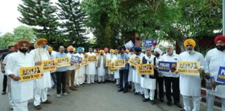 CM ਮਾਨ ਸਣੇ AAP ਦੇ ਸਾਰੇ ਵਿਧਾਇਕ ਦਿੱਲੀ ਲਈ ਰਵਾਨਾ! ਰਾਸ਼ਟਰਪਤੀ ਨਾਲ ਕਰਨਗੇ ਮੁਲਾਕਾਤ | ਪੰਜਾਬ ਖ਼ਬਰਾਂ CM ਮਾਨ ਸਣੇ AAP ਦੇ ਸਾਰੇ ਵਿਧਾਇਕ ਦਿੱਲੀ ਲਈ ਰਵਾਨਾ! ਰਾਸ਼ਟਰਪਤੀ ਨਾਲ ਕਰਨਗੇ ਮੁਲਾਕਾਤ | ਪੰਜਾਬ ਖ਼ਬਰਾਂ