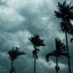 Punjab Weather Alert- ਪੰਜਾਬ ਦੇ ਮੌਸਮ ਬਾਰੇ ਵੱਡਾ ਅਲਰਟ, ਇਨ੍ਹਾਂ ਜ਼ਿਲ੍ਹਿਆਂ ਲਈ ਚਿਤਾਵਨੀ… | ਪੰਜਾਬ ਖ਼ਬਰਾਂ Punjab Weather Alert- ਪੰਜਾਬ ਦੇ ਮੌਸਮ ਬਾਰੇ ਵੱਡਾ ਅਲਰਟ, ਇਨ੍ਹਾਂ ਜ਼ਿਲ੍ਹਿਆਂ ਲਈ ਚਿਤਾਵਨੀ... | ਪੰਜਾਬ ਖ਼ਬਰਾਂ