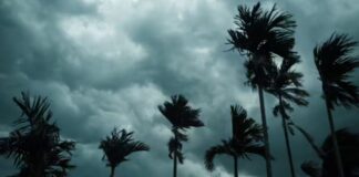 Punjab Weather Alert- ਪੰਜਾਬ ਦੇ ਮੌਸਮ ਬਾਰੇ ਵੱਡਾ ਅਲਰਟ, ਇਨ੍ਹਾਂ ਜ਼ਿਲ੍ਹਿਆਂ ਲਈ ਚਿਤਾਵਨੀ… | ਪੰਜਾਬ ਖ਼ਬਰਾਂ Punjab Weather Alert- ਪੰਜਾਬ ਦੇ ਮੌਸਮ ਬਾਰੇ ਵੱਡਾ ਅਲਰਟ, ਇਨ੍ਹਾਂ ਜ਼ਿਲ੍ਹਿਆਂ ਲਈ ਚਿਤਾਵਨੀ... | ਪੰਜਾਬ ਖ਼ਬਰਾਂ