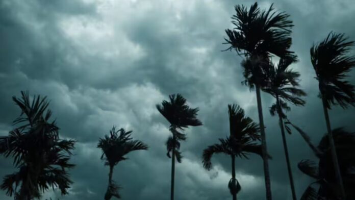 Punjab Weather Alert- ਪੰਜਾਬ ਦੇ ਮੌਸਮ ਬਾਰੇ ਵੱਡਾ ਅਲਰਟ, ਇਨ੍ਹਾਂ ਜ਼ਿਲ੍ਹਿਆਂ ਲਈ ਚਿਤਾਵਨੀ... | ਪੰਜਾਬ ਖ਼ਬਰਾਂ