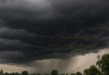 Punjab Heavy Rain Alert- ਪੰਜਾਬ ਵਿਚ ਅੱਜ ਤੋਂ 5 ਦਿਨ ਲਗਾਤਾਰ ਮੀਂਹ, 7 ਜ਼ਿਲ੍ਹਿਆਂ ਵਿਚ ਤੂਫਾਨ… | ਪੰਜਾਬ ਖ਼ਬਰਾਂ Punjab Heavy Rain Alert- ਪੰਜਾਬ ਵਿਚ ਅੱਜ ਤੋਂ 5 ਦਿਨ ਲਗਾਤਾਰ ਮੀਂਹ, 7 ਜ਼ਿਲ੍ਹਿਆਂ ਵਿਚ ਤੂਫਾਨ... | ਪੰਜਾਬ ਖ਼ਬਰਾਂ