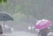 Punjab Weather Update : ਪੰਜਾਬ ਵਿੱਚ ਬਦਲਿਆ ਮੌਸਮ, IMD ਨੇ 17 ਜ਼ਿਲ੍ਹਿਆਂ ਲਈ ਜਾਰੀ ਕੀਤਾ ਅਲਰਟ | ਪੰਜਾਬ ਖ਼ਬਰਾਂ Punjab Weather Update : ਪੰਜਾਬ ਵਿੱਚ ਬਦਲਿਆ ਮੌਸਮ, IMD ਨੇ 17 ਜ਼ਿਲ੍ਹਿਆਂ ਲਈ ਜਾਰੀ ਕੀਤਾ ਅਲਰਟ | ਪੰਜਾਬ ਖ਼ਬਰਾਂ