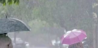 Punjab Weather Update : เจชเฉฐเจเจพเจฌ เจตเจฟเฉฑเจ เจฌเจฆเจฒเจฟเจ เจฎเฉเจธเจฎ, IMD เจจเฉ 17 เฉเจฟเจฒเฉเจนเจฟเจเจ เจฒเจ เจเจพเจฐเฉ เจเฉเจคเจพ เจ
เจฒเจฐเจ | เจชเฉฐเจเจพเจฌ เฉเจฌเจฐเจพเจ Punjab Weather Update : เจชเฉฐเจเจพเจฌ เจตเจฟเฉฑเจ เจฌเจฆเจฒเจฟเจ เจฎเฉเจธเจฎ, IMD เจจเฉ 17 เฉเจฟเจฒเฉเจนเจฟเจเจ เจฒเจ เจเจพเจฐเฉ เจเฉเจคเจพ เจ
เจฒเจฐเจ | เจชเฉฐเจเจพเจฌ เฉเจฌเจฐเจพเจ