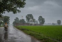 Punjab Weather Today Rain Live: ਅਗਲੇ 2 ਘੰਟੇ ਬਹੁਤ ਭਾਰੀ, ਖੂਬ ਗਰਜਣਗੇ ਬੱਦਲ, ਤੇ ਬਾਰਿਸ਼ ਦੇ ਨਾਲ ਬਿਜਲੀ ਵੀ ਡਿੱਗੇਗੀ | ਪੰਜਾਬ ਖ਼ਬਰਾਂ Punjab Weather Alert: 27 ਜੂਨ ਤੋਂ 30 ਜੂਨ ਤੱਕ ਪੰਜਾਬ ਦੇ ਵੱਖ-ਵੱਖ ਜ਼ਿਲ੍ਹਿਆਂ ਵਿੱਚ ਪੈ ਸਕਦਾ ਹੈ ਮੀਂਹ, IMD ਨੇ ਜਾਰੀ ਕੀਤਾ ਅਲਰਟ | ਪੰਜਾਬ ਖ਼ਬਰਾਂ