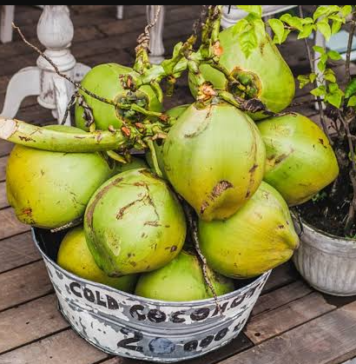 Who Should Avoid Coconut Water: ਜਾਣੋ ਕਿਨ੍ਹਾਂ ਲੋਕਾਂ ਨੂੰ ਭੁੱਲ ਕੇ ਵੀ ਨਹੀਂ ਪੀਣਾ ਚਾਹੀਦਾ ਕੋਕੋਨਟ ਵਾਟਰ
