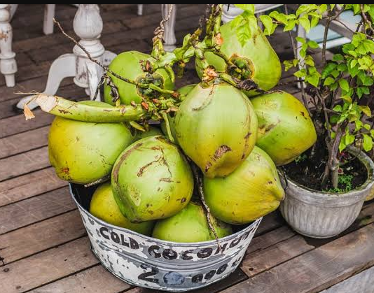 Who Should Avoid Coconut Water: เจเจพเจฃเฉ เจเจฟเจจเฉเจนเจพเจ เจฒเฉเจเจพเจ เจจเฉเฉฐ เจญเฉเฉฑเจฒ เจเฉ เจตเฉ เจจเจนเฉเจ เจชเฉเจฃเจพ เจเจพเจนเฉเจฆเจพ เจเฉเจเฉเจจเจ เจตเจพเจเจฐ