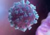 covid-19 cases rise in andhra pradesh four deaths reported amid fresh infections | covid-19 cases rise in andhra pradesh four deaths reported amid fresh infections |
