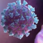 covid-19 cases rise in andhra pradesh four deaths reported amid fresh infections | covid-19 cases rise in andhra pradesh four deaths reported amid fresh infections |