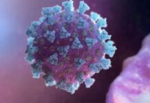 covid-19 cases rise in andhra pradesh four deaths reported amid fresh infections | covid-19 cases rise in andhra pradesh four deaths reported amid fresh infections |