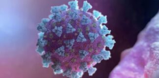covid-19 cases rise in andhra pradesh four deaths reported amid fresh infections | covid-19 cases rise in andhra pradesh four deaths reported amid fresh infections |