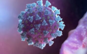 covid-19 cases rise in andhra pradesh four deaths reported amid fresh infections | covid-19 cases rise in andhra pradesh four deaths reported amid fresh infections |