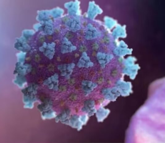 covid-19 cases rise in andhra pradesh four deaths reported amid fresh infections | covid-19 cases rise in andhra pradesh four deaths reported amid fresh infections |