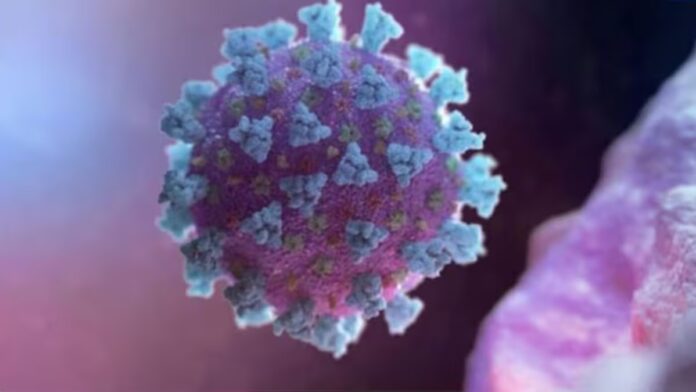 HYP_5868407_11_1-1200x675.jpg covid-19 cases rise in andhra pradesh four deaths reported amid fresh infections |
