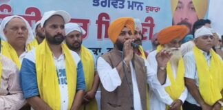 aap honours 12 newly appointed chairpersons at nabha jassi sohiawala targets previous governments | aap honours 12 newly appointed chairpersons at nabha jassi sohiawala targets previous governments | ਪਟਿਆਲਾ ਖ਼ਬਰਾਂ (Patiala News)
