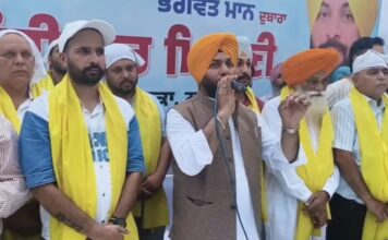 aap honours 12 newly appointed chairpersons at nabha jassi sohiawala targets previous governments | aap honours 12 newly appointed chairpersons at nabha jassi sohiawala targets previous governments | ਪਟਿਆਲਾ ਖ਼ਬਰਾਂ (Patiala News)