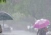 Punjab Weather Update: ਚੰਡੀਗੜ੍ਹ ਅਤੇ ਪੰਜਾਬ ਦੇ 23 ਜ਼ਿਲ੍ਹਿਆਂ ਲਈ ਮੀਂਹ ਦਾ ਅਲਰਟ ਜਾਰੀ | Punjab Weather Update: ਚੰਡੀਗੜ੍ਹ ਅਤੇ ਪੰਜਾਬ ਦੇ 23 ਜ਼ਿਲ੍ਹਿਆਂ ਲਈ ਮੀਂਹ ਦਾ ਅਲਰਟ ਜਾਰੀ | ਪੰਜਾਬ ਖ਼ਬਰਾਂ