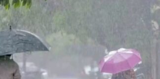 Punjab Weather Update: ਚੰਡੀਗੜ੍ਹ ਅਤੇ ਪੰਜਾਬ ਦੇ 23 ਜ਼ਿਲ੍ਹਿਆਂ ਲਈ ਮੀਂਹ ਦਾ ਅਲਰਟ ਜਾਰੀ | Punjab Weather Update: ਚੰਡੀਗੜ੍ਹ ਅਤੇ ਪੰਜਾਬ ਦੇ 23 ਜ਼ਿਲ੍ਹਿਆਂ ਲਈ ਮੀਂਹ ਦਾ ਅਲਰਟ ਜਾਰੀ | ਪੰਜਾਬ ਖ਼ਬਰਾਂ