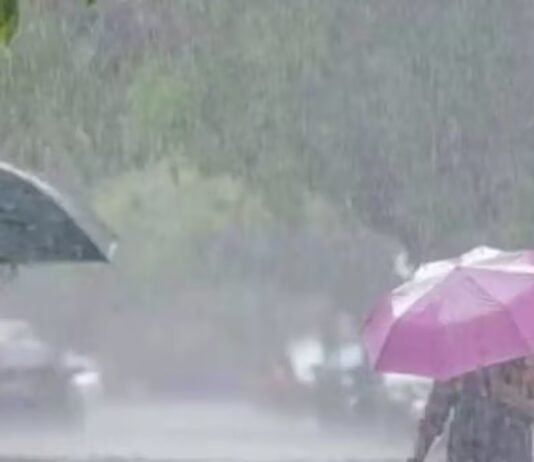 Punjab Weather Update: ਚੰਡੀਗੜ੍ਹ ਅਤੇ ਪੰਜਾਬ ਦੇ 23 ਜ਼ਿਲ੍ਹਿਆਂ ਲਈ ਮੀਂਹ ਦਾ ਅਲਰਟ ਜਾਰੀ | Punjab Weather Update: ਚੰਡੀਗੜ੍ਹ ਅਤੇ ਪੰਜਾਬ ਦੇ 23 ਜ਼ਿਲ੍ਹਿਆਂ ਲਈ ਮੀਂਹ ਦਾ ਅਲਰਟ ਜਾਰੀ | ਪੰਜਾਬ ਖ਼ਬਰਾਂ