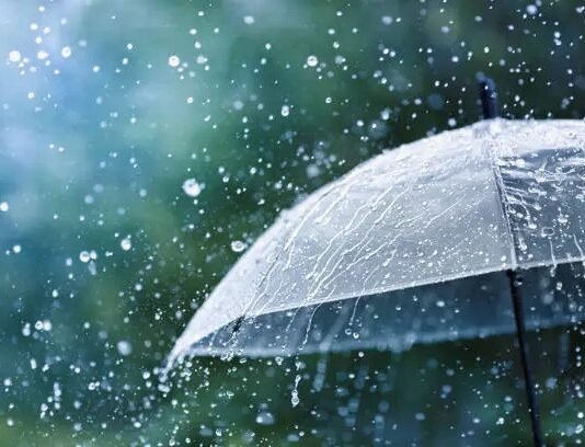 ਪੰਜਾਬ: 23 ਜੁਲਾਈ ਤੱਕ ਭਾਰੀ ਮੀਂਹ ਦਾ ਅਲਰਟ ਜਾਰੀ, ਇਨ੍ਹਾਂ ਜ਼ਿਲ੍ਹਿਆਂ ਵਿੱਚ… | ਪੰਜਾਬ ਖ਼ਬਰਾਂ