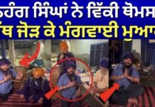 Nihang Vicky Thomas | ਨਿਹੰਗ ਸਿੰਘਾਂ ਨੇ ਵਿੱਕੀ ਥੋਮਸ ਤੋਂ ਹੱਥ ਜੋੜ ਕੇ ਮੰਗਵਾਈ ਮੁਆਫੀ | Budha Dal |