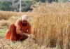 ਕਿਸਾਨਾਂ ਲਈ ਭਗਵੰਤ ਮਾਨ ਸਰਕਾਰ ਦਾ ਵੱਡਾ ਤੋਹਫ਼ਾ: ਝੋਨੇ ਦੇ ਸੀਜ਼ਨ ‘ਚ ਟਿਊਬਵੈੱਲਾਂ ਨੂੰ ਮਿਲੀ 20 ਘੰਟੇ ਬਿਜਲੀ, ਪਾਵਰਕਾਮ ਦਾ ਦਾਅਵਾ