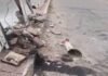 rajpura truck accident after stray animal comes on road residents demand action! rajpura truck accident after stray animal comes on road residents demand action | ਪਟਿਆਲਾ ਖ਼ਬਰਾਂ (Patiala News)
