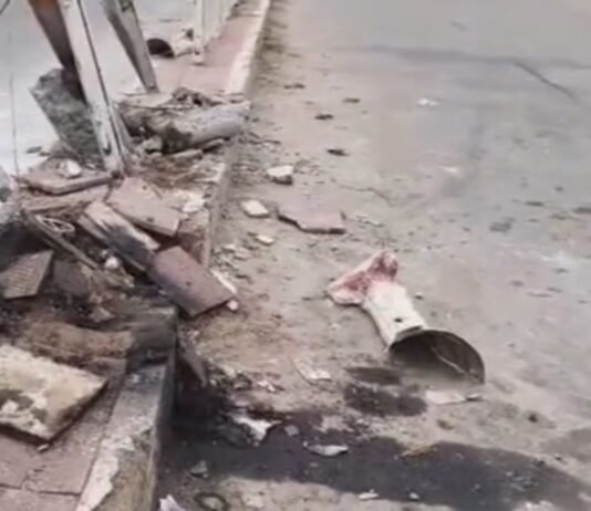 rajpura truck accident after stray animal comes on road residents demand action! rajpura truck accident after stray animal comes on road residents demand action | ਪਟਿਆਲਾ ਖ਼ਬਰਾਂ (Patiala News)
