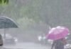 Weather Change in Punjab: IMD ਵੱਲੋਂ Punjab ਦੇ 7 ਜ਼ਿਲ੍ਹਿਆਂ ਵਿੱਚ ਭਾਰੀ ਮੀਂਹ ਅਤੇ ਤੇਜ਼ ਹਵਾਵਾਂ ਦਾ ਅਲਰਟ | ਪੰਜਾਬ ਖ਼ਬਰਾਂ Weather Change in Punjab: IMD ਵੱਲੋਂ Punjab ਦੇ 7 ਜ਼ਿਲ੍ਹਿਆਂ ਵਿੱਚ ਭਾਰੀ ਮੀਂਹ ਅਤੇ ਤੇਜ਼ ਹਵਾਵਾਂ ਦਾ ਅਲਰਟ | ਪੰਜਾਬ ਖ਼ਬਰਾਂ