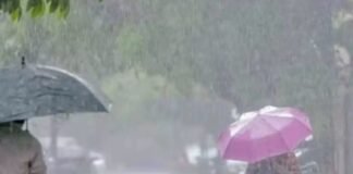Weather Change in Punjab: IMD ਵੱਲੋਂ Punjab ਦੇ 7 ਜ਼ਿਲ੍ਹਿਆਂ ਵਿੱਚ ਭਾਰੀ ਮੀਂਹ ਅਤੇ ਤੇਜ਼ ਹਵਾਵਾਂ ਦਾ ਅਲਰਟ | ਪੰਜਾਬ ਖ਼ਬਰਾਂ Weather Change in Punjab: IMD ਵੱਲੋਂ Punjab ਦੇ 7 ਜ਼ਿਲ੍ਹਿਆਂ ਵਿੱਚ ਭਾਰੀ ਮੀਂਹ ਅਤੇ ਤੇਜ਼ ਹਵਾਵਾਂ ਦਾ ਅਲਰਟ | ਪੰਜਾਬ ਖ਼ਬਰਾਂ