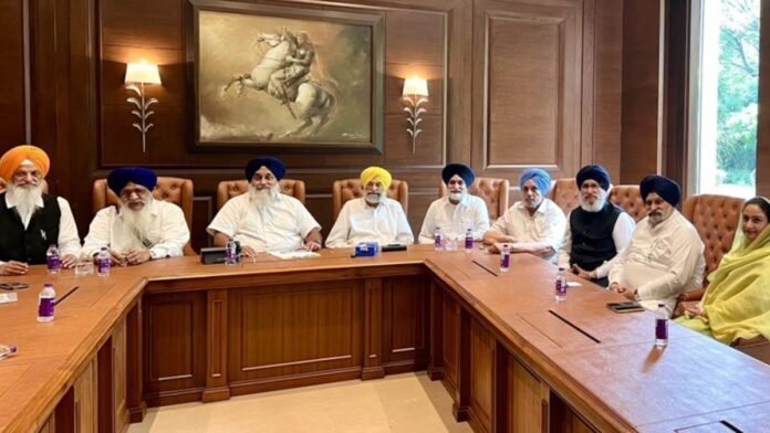 ਸ਼੍ਰੋਮਣੀ ਅਕਾਲੀ ਦਲ ਵੱਲੋਂ ਮੀਟਿੰਗ ਵਿਚ ਵੱਡਾ ਫੈਸਲਾ... | ਪੰਜਾਬ ਖ਼ਬਰਾਂ