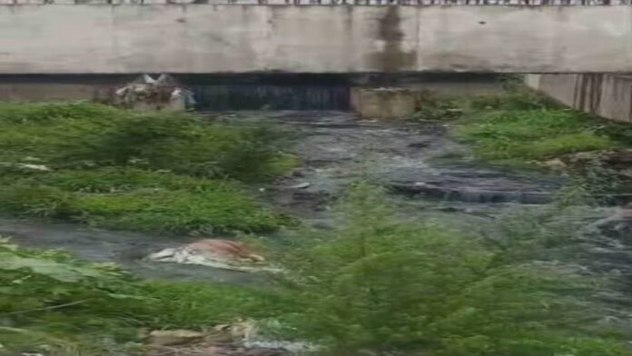 ROPAR-POLLUTION-2026-08-c4a19ff4e29891d36b62c2b48fec91ac-1200x675.jpg ਰੋਪੜ 'ਚ ਸਤਲੁਜ ਦਰਿਆ ਪ੍ਰਦੂਸ਼ਣ ਮਾਮਲੇ 'ਚ ਪੰਜਾਬ ਦੀ ਪਹਿਲੀ FIR, ਹਿਮਾਚਲ ਦੇ ਉਦਯੋਗਾਂ 'ਤੇ ਗੰਭੀਰ ਇਲਜ਼ਾਮ | ਪੰਜਾਬ ਖ਼ਬਰਾਂ