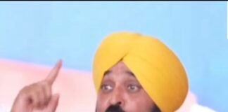 ਜੇ ਟੂੰ-ਟੂੰ ਨਾ ਕਰਾਈ ਤਾਂ CM ਬਣਾਉਣ ਦਾ ਕੀ ਫਾਇਦਾ? : ਮੁੱਖ ਮੰਤਰੀ ਭਗਵੰਤ ਮਾਨ |