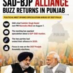 BJP-SAD ਇਕੱਠੇ ਆਏ ਤਾਂ ਬਦਲੇਗੀ ਖੇਡ ? AAP ਦਾ ਫਾਰਮੂਲਾ ਤਿਆਰ, ਫਿਰ ਬਣੇਗੀ ਸਰਕਾਰ ? Punjab Election 2027|