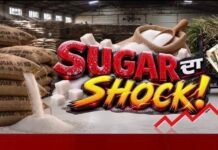 Sugar Price Hike : ਦੇਸ਼ ‘ਚ ਅਚਾਨਕ ਖੰਡ ਕਿਉਂ ਹੋ ਗਈ ਮਹਿੰਗੀ ? ਇਹ ਹੈ ਇਸਦੇ ਪਿੱਛੇ ਦੀ ਕਹਾਣੀ | Agriculture