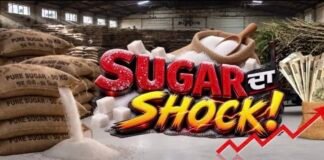 Sugar Price Hike : ਦੇਸ਼ ‘ਚ ਅਚਾਨਕ ਖੰਡ ਕਿਉਂ ਹੋ ਗਈ ਮਹਿੰਗੀ ? ਇਹ ਹੈ ਇਸਦੇ ਪਿੱਛੇ ਦੀ ਕਹਾਣੀ | Agriculture