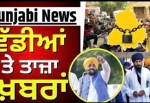 Punjab Maha Bandh | Today Punjabi News Live | CM Mann | Majithia | Amritpal |