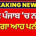 punjab-government-bans-analogue-paneer-production-sale-and-storage |