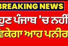 punjab-government-bans-analogue-paneer-production-sale-and-storage |